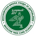 Московская школа ухода за деревьями